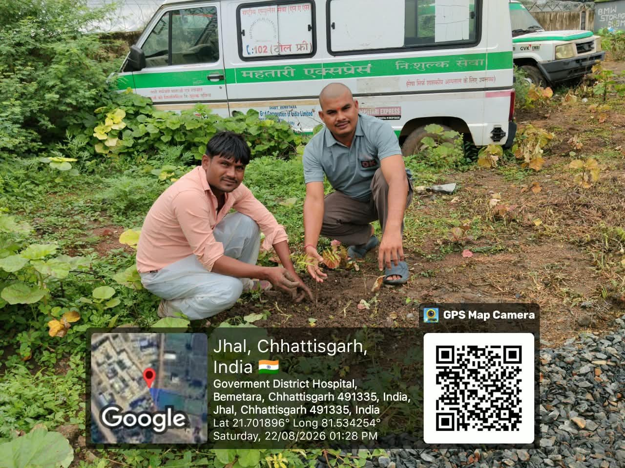 Nurturing Saplings in Nursery